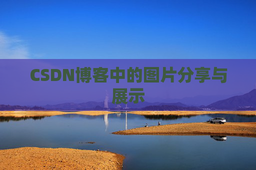 CSDN博客中的图片分享与展示